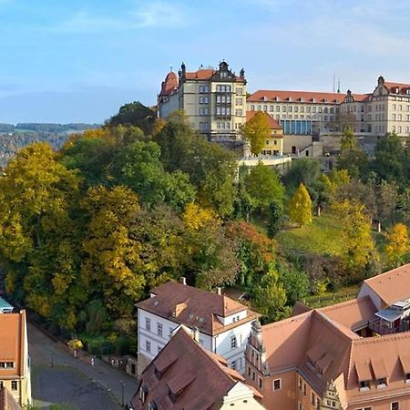 Apartment Altstadt Пірна Екстер'єр фото