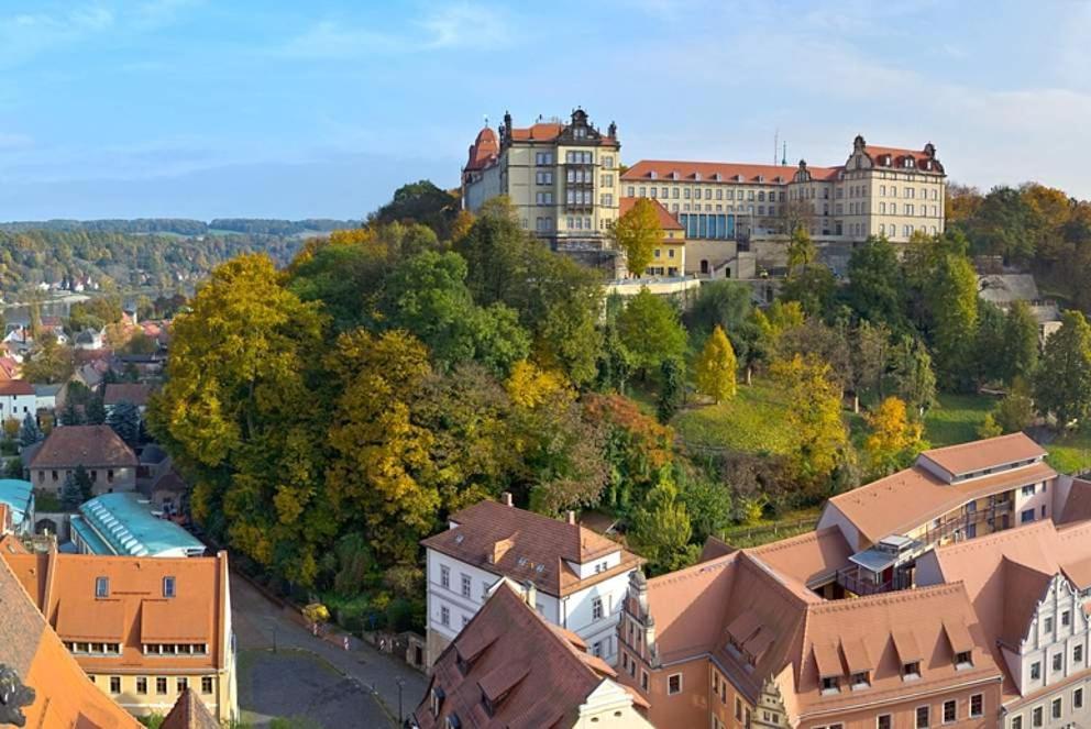 Apartment Altstadt Пірна Екстер'єр фото